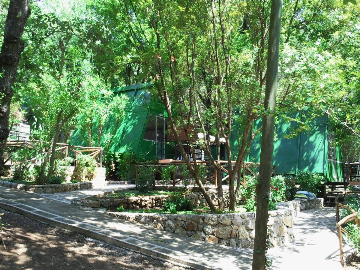La Francesca Sud Un Villaggio"Glamping" Scario Exterior foto